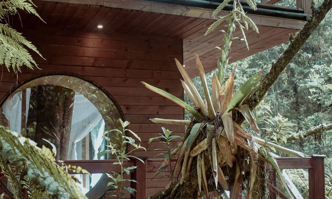 Medellin Cabin | Onirico Luxury