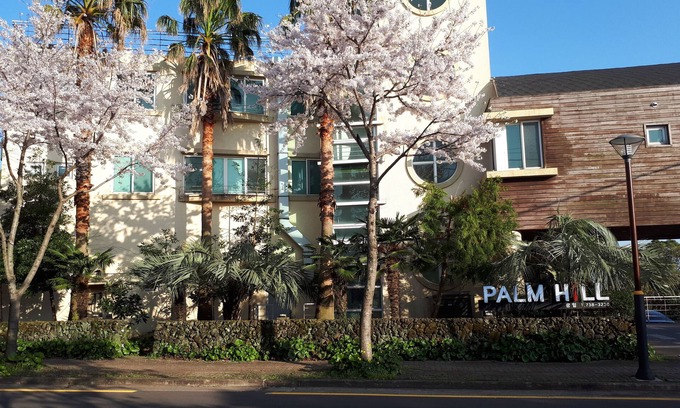 Jungmun House | Palm Hill Pension