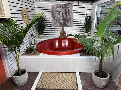 Chuy House | PAZ Y ARMONÍA en chuy 2