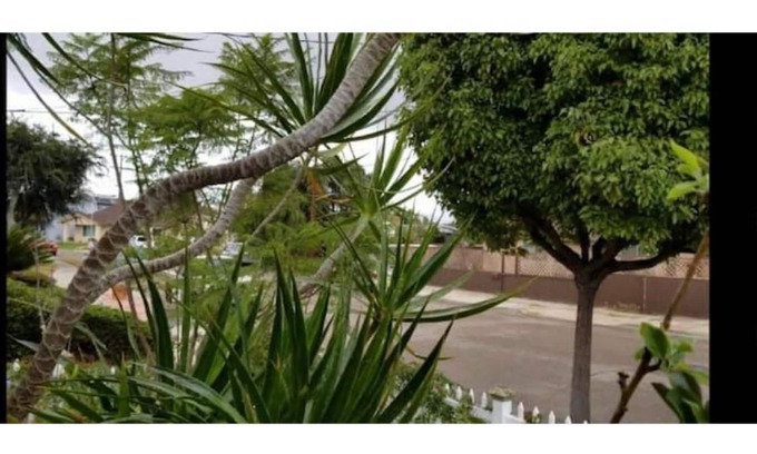 North Clairemont Apartment | Pet Friendly 2 bedroom home with gated front yard.