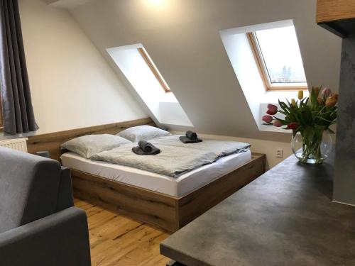 Bela pod Pradedem Apartment | Pod střechou hor