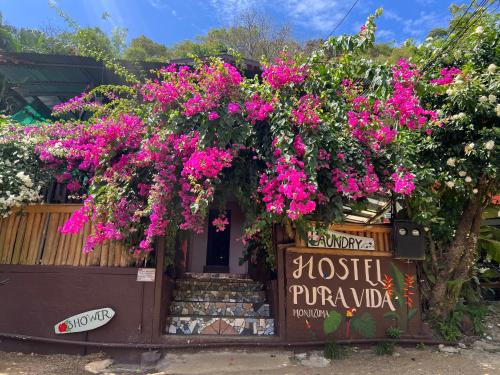 Montezuma Hostel | Pura Vida Hostel