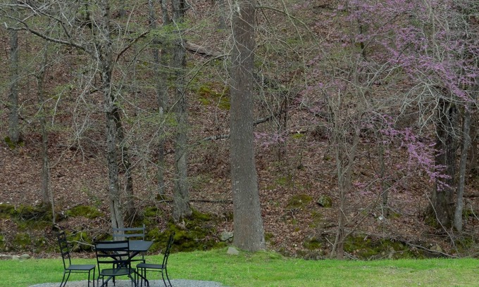 Mount Ida Apartment | Queen Guest Room located at the Joplin Inn at the entrance to Mountain Harbor, just 2 1/2 miles from Lake Ouachita. by RedAwning