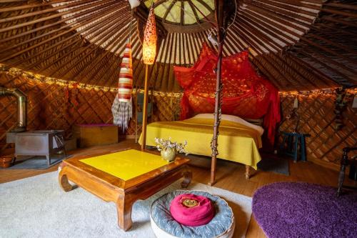 Zuidoost House | Reijgershof - Yurt Experience with garden view