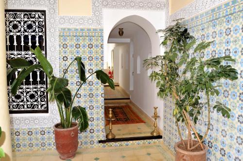 Medina House | Riad Dar Hamid Hotel & Spa