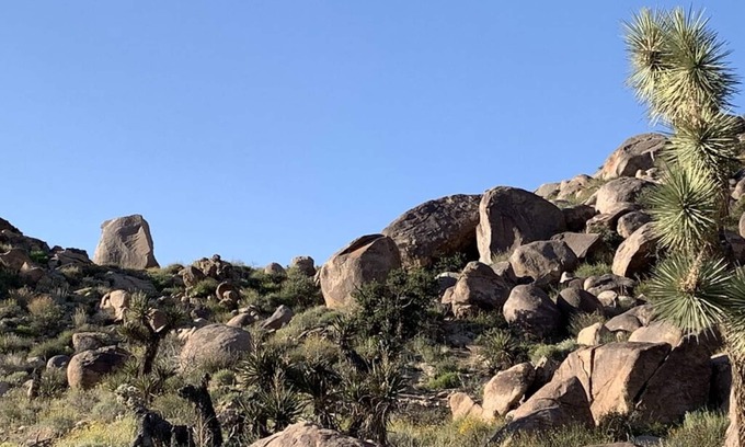 Joshua Tree Highlands House | π΅ Rocky Ridge Retreat - Cozy & Colorful Home in Joshua Tree w/Hot Tub, Fire Pit & BBQ π΅
