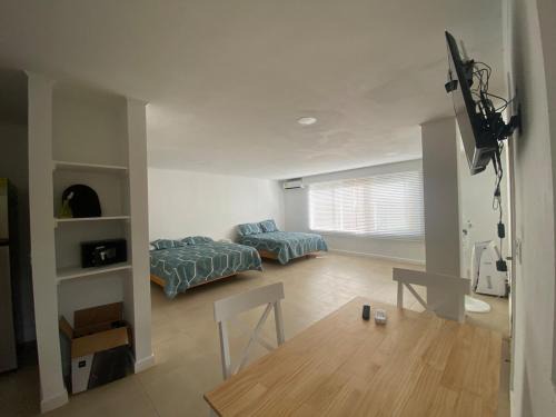 Punta Sur Apartment | Savannah Inn Studio Apartment 104