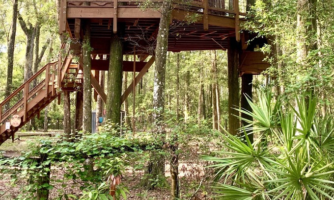 Old Town Cabin | Secluded Treehouse Cabin Retreat near the Suwannee River and freshwater springs!