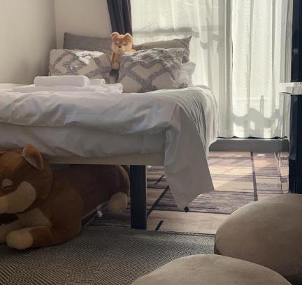 Sumida Apartment | Sky hotel 睛空塔热门旅游景区 最近车站步行3分钟 机场直达 周边有便利店 商场 温泉 购物餐饮方便