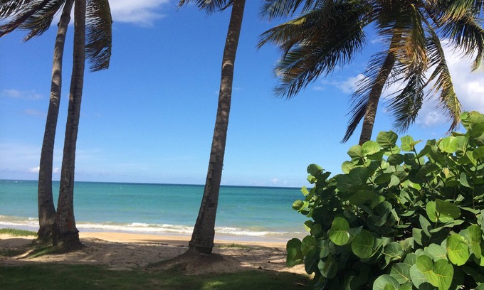 Herreras Apartment | Spacious 3 BDRM apt. just steps from the sand, the pool, the fun and relaxation.