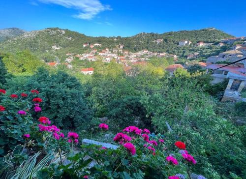 Lastovo Apartment | Studio Apartman Ana