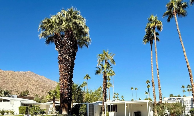 Canyon Corridor Condo | Stunning light-filled Mid-Century Mod Condo in iconic Canyon View Estates.