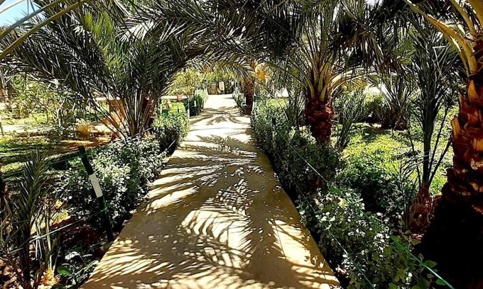 Aarab Sebbah Ziz Cabin | Sun Palmeraie