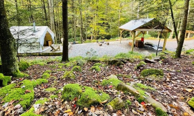 Jim Thorpe RV Rental | Tentrr Signature Site - A Creek Runs Through It