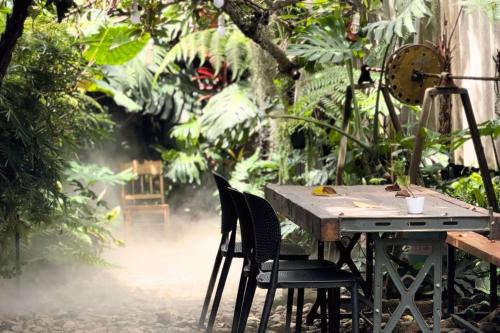 Bao Loc House | Thỏ Non Garden - Bảo Lộc Center 02