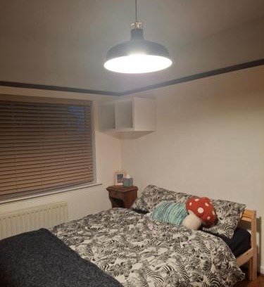 Birmingham House | The Burrow