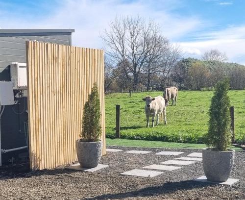 Waikato District House | The Little Willow
