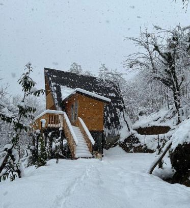 Khelvachauri Other | Thoma's hut-თომას ქოხი