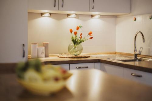 Rasa Apartment | Töllhof Apartments and Farm