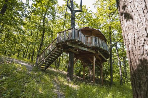 Jinacovice Other | TREE HOUSE U Mravence