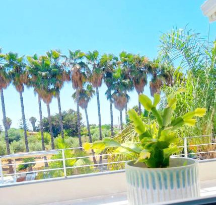 Santa Maria del Focallo Apartment | Villa LORY SWEET ORCHIDEA