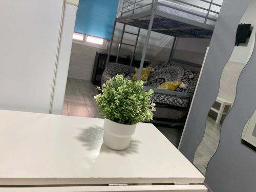 Jerez de la Frontera Apartment | Villa Mutt