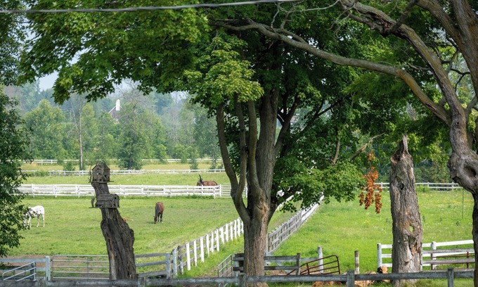 Ramara House | Welcome to Haven Barn! Mins from a Beach situated on a beautiful horse farm!