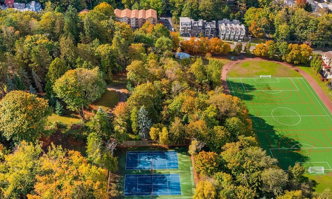 North Queen Anne House | Yoda's Swamp Suite