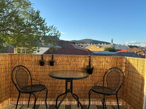 Baden Apartment | Zum Breyer BNB City Apartment