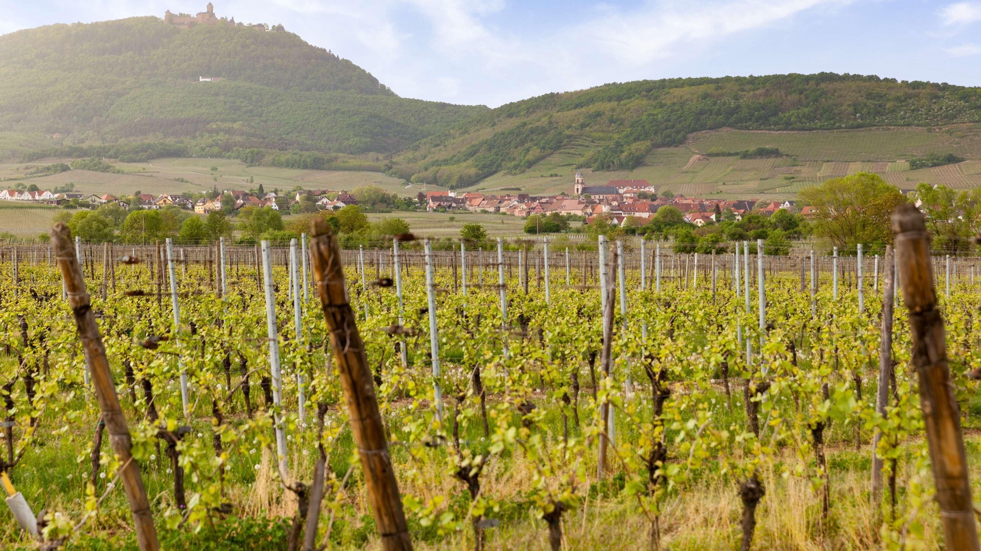 Photo of Others in Saint-Hippolyte
