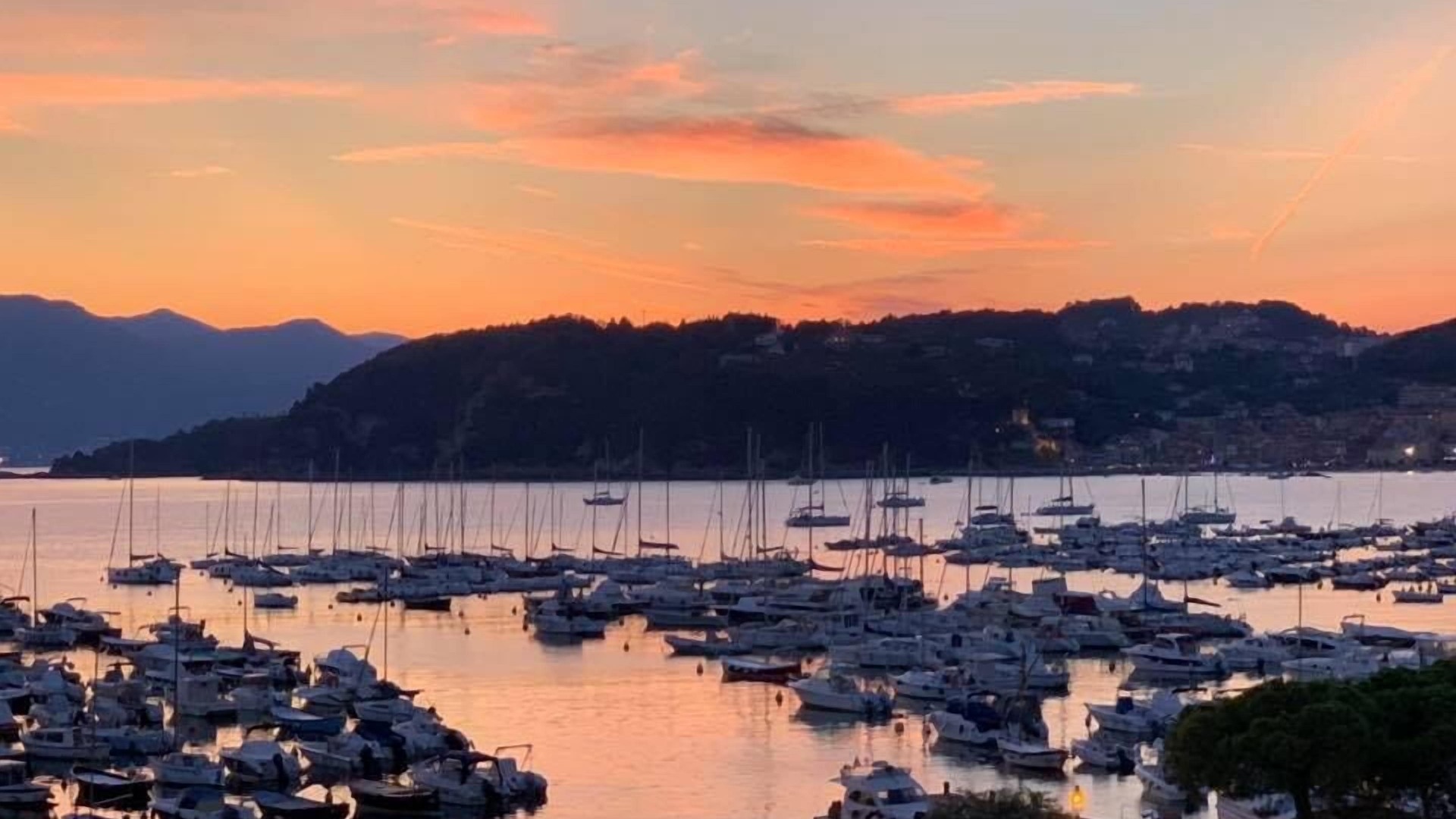 Photo of Others in Vezzano Ligure
