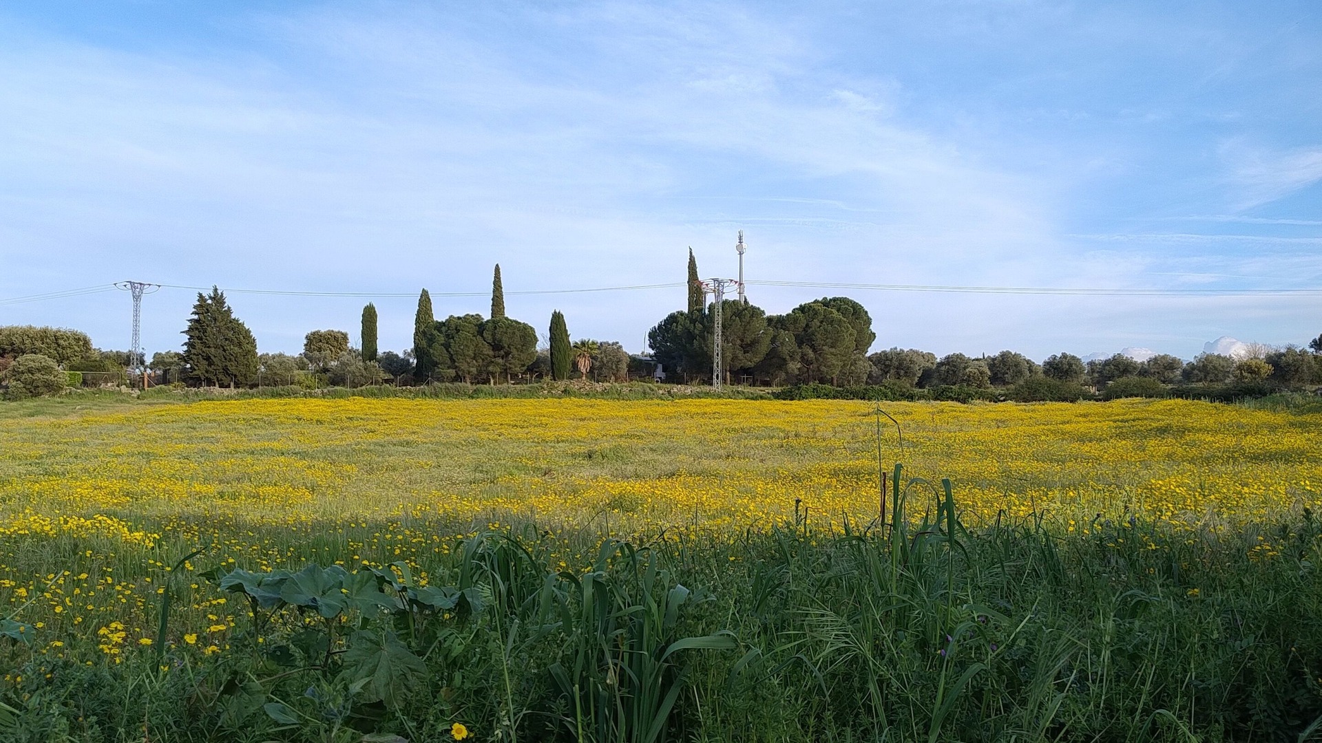 Photo of Outdoor in Herreruela de Oropesa
