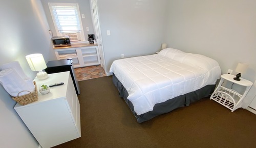 Pet Friendly Room