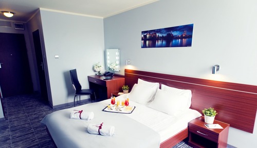 Double Room Single Use, 1 Double Bed