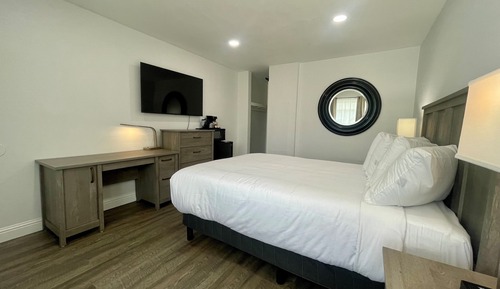 Premium Double Room