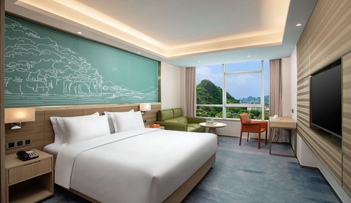 Business Room, 1 King Bed, Non Smoking