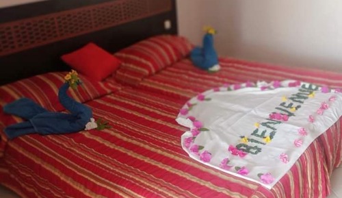 Basic Double Room