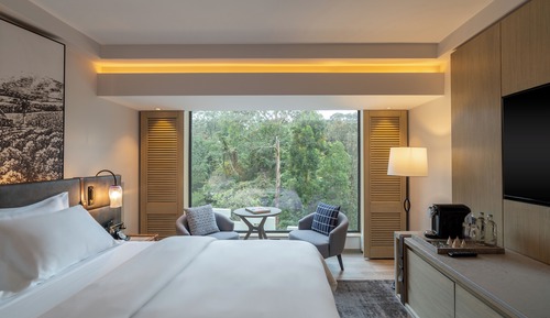 Serene Twin Deluxe Room