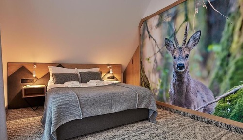 Deluxe Apartment, 1 King Bed with Sofa bed, Mountain View