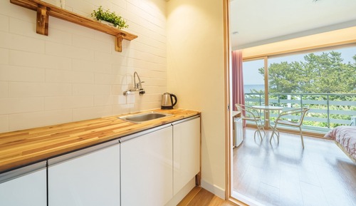 Basic Room, 1 Bedroom (202(Ocean View/No cooking))