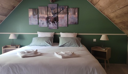 Double or Twin Room