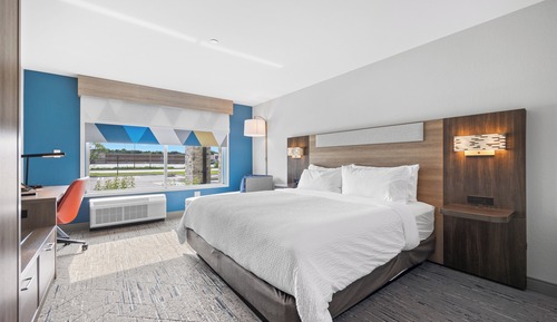 Standard Room, 1 King Bed, Roll-in Shower (Mobility, Roll In Shower)
