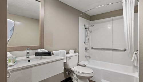 Suite, 1 King Bed, Accessible, Non Smoking (Roll-In Shower)