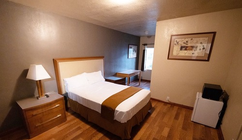 Standard Single Room, 1 Bedroom