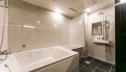 Room (VIP (massage chair / over 10 pyeong /)