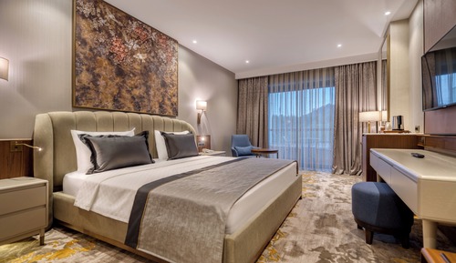 Deluxe Room, Mountain View