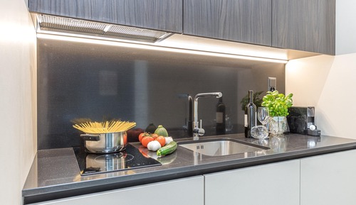 Family Studio (ICON H 504 Suite Micro-Living)