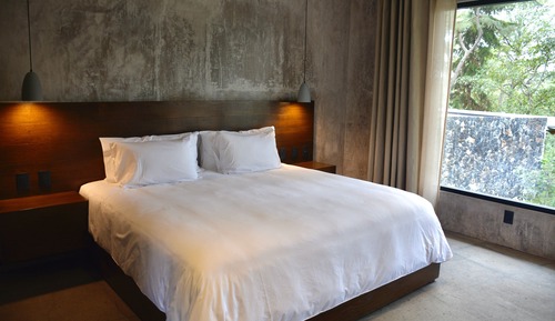 Junior Room, 1 King Bed, Terrace