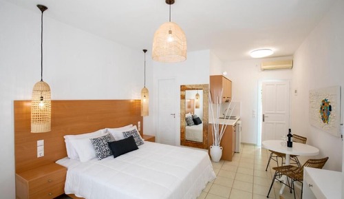 Basic Studio Suite (Petali)