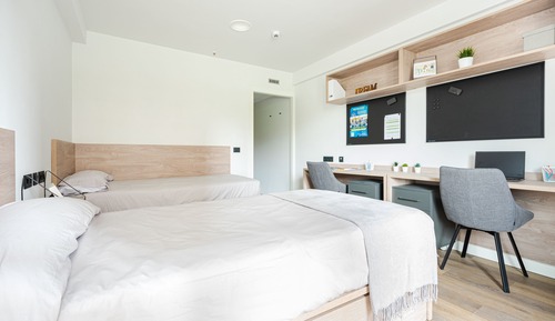 Basic Double or Twin Room